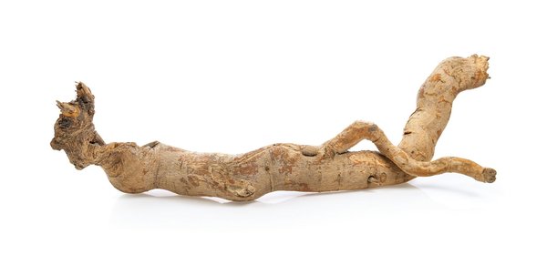 Augmentez vos performances sportives avec le tongkat ali