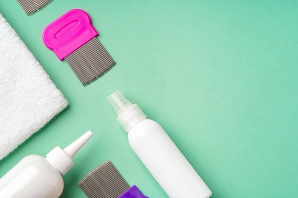 Découvrez les meilleurs traitements anti poux naturels et efficaces