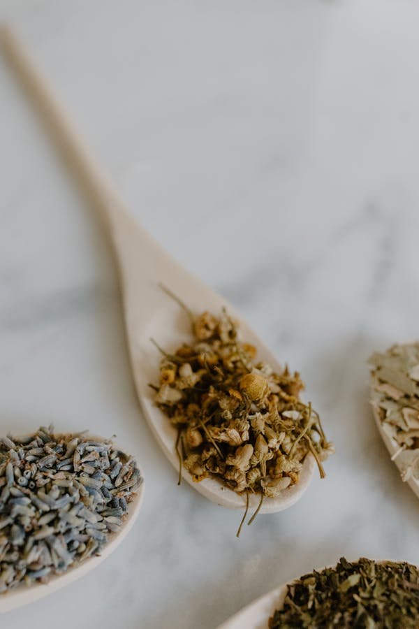 Formation naturopathe : maîtrisez l'art du bien-être naturel